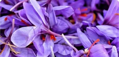 عرق بیدمشک زعفرانی