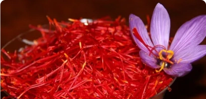 خواص درمانی زعفران